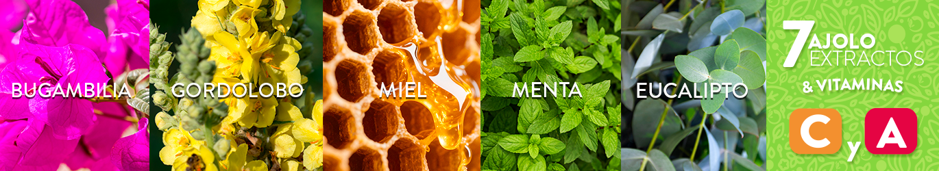 Jarabe Miel Original