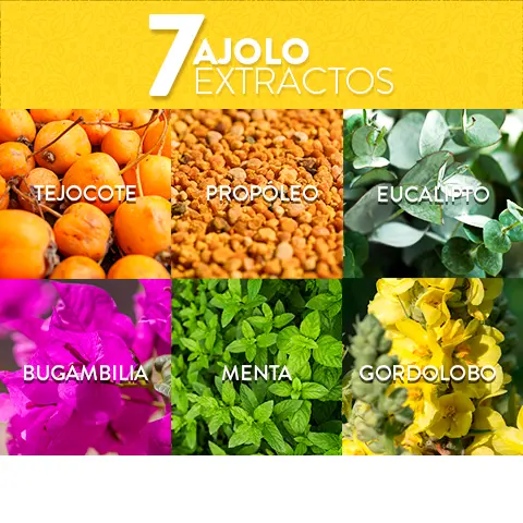 AJOLOSPRAY® Propóleo y Miel 32 gr