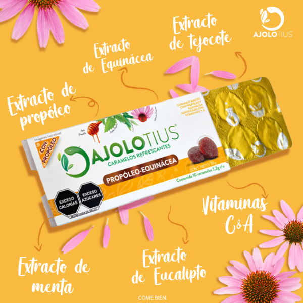 AJOLOBLISTER® Caramelos Refrescantes con Propóleo y Equinacea 22gr