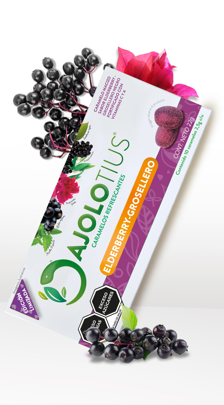 AjoloBlister Elderberry-Grosellero
