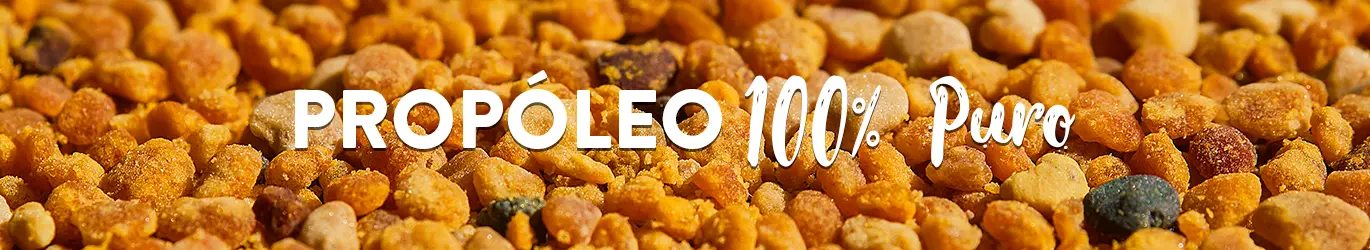 AJOLOEXTRACTO® de Propóleo 40 ml