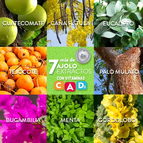 AJOLO GOMITAS ® Originales Menta - Eucalipto. Adicionadas con Vitaminas A, D3 y C 148 gr
