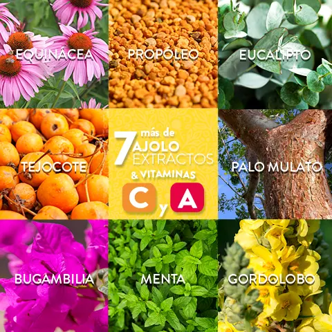 AJOLOPALETAS® de Caramelo con Extracto de Propóleo (Vitrolero) 500 g
