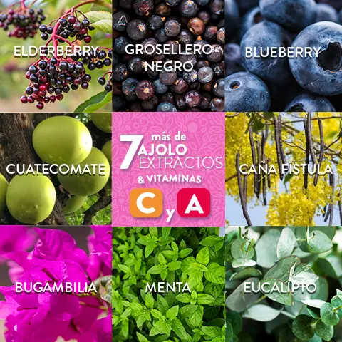 AJOLOTIUS Jarabe con Elderberry & Grosellero Negro 250 ml
