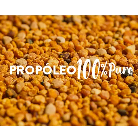 AJOLOEXTRACTO® de Propóleo 40 ml