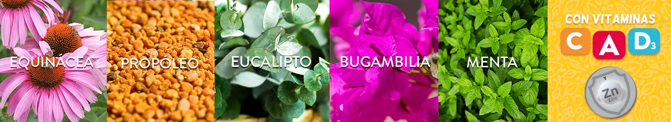 AJOLOGOMITAS® Propóleo - Equinácea. Adicionadas con Vitaminas A, D3 y C 148 g