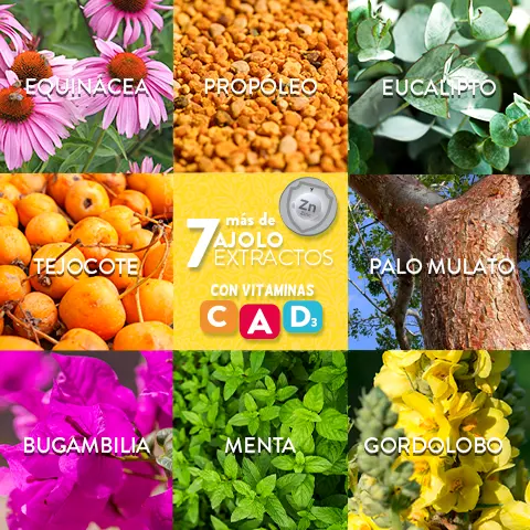 AJOLOGOMITAS® Propóleo - Equinácea. Adicionadas con Vitaminas A, D3 y C 148 g